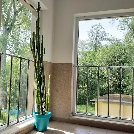 Al-dom Apartament Lawenda Apartman